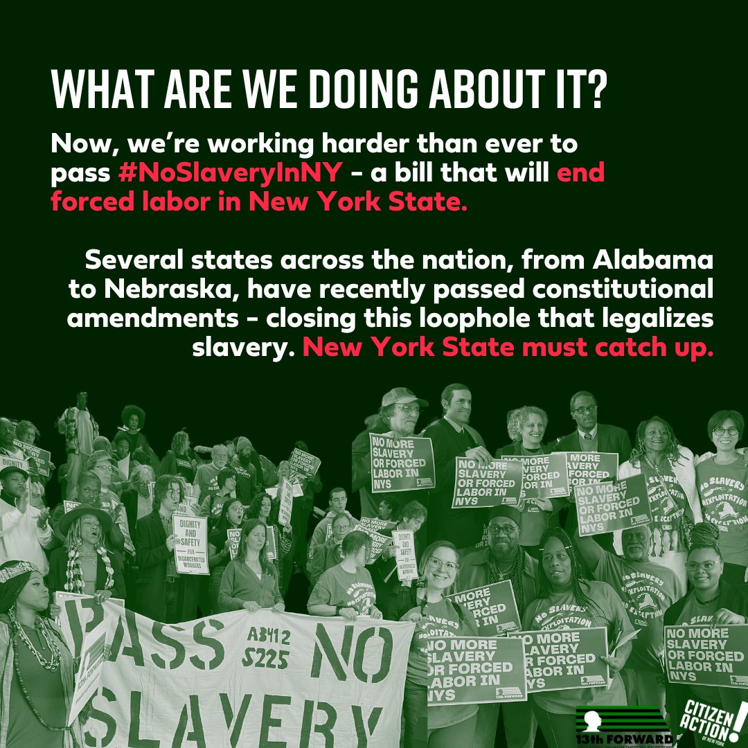 citizenactionny tweet picture