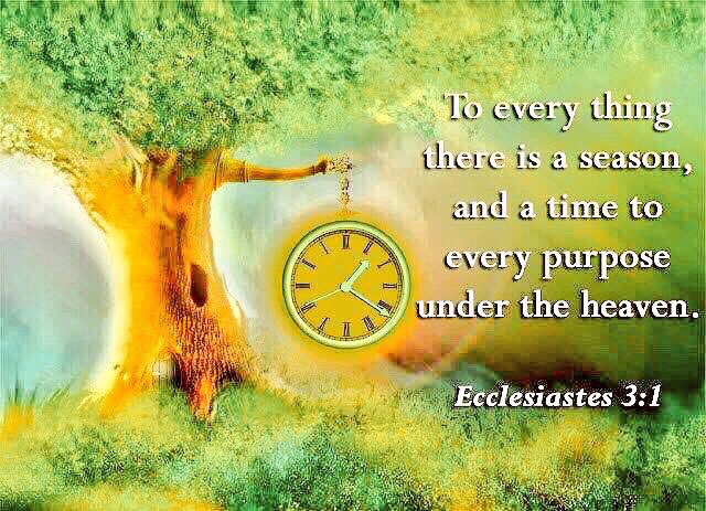 To everything
there is a season,
and a time to
every purpose
under the Heaven.
    Ref. (Ecclesiastes 3:1)