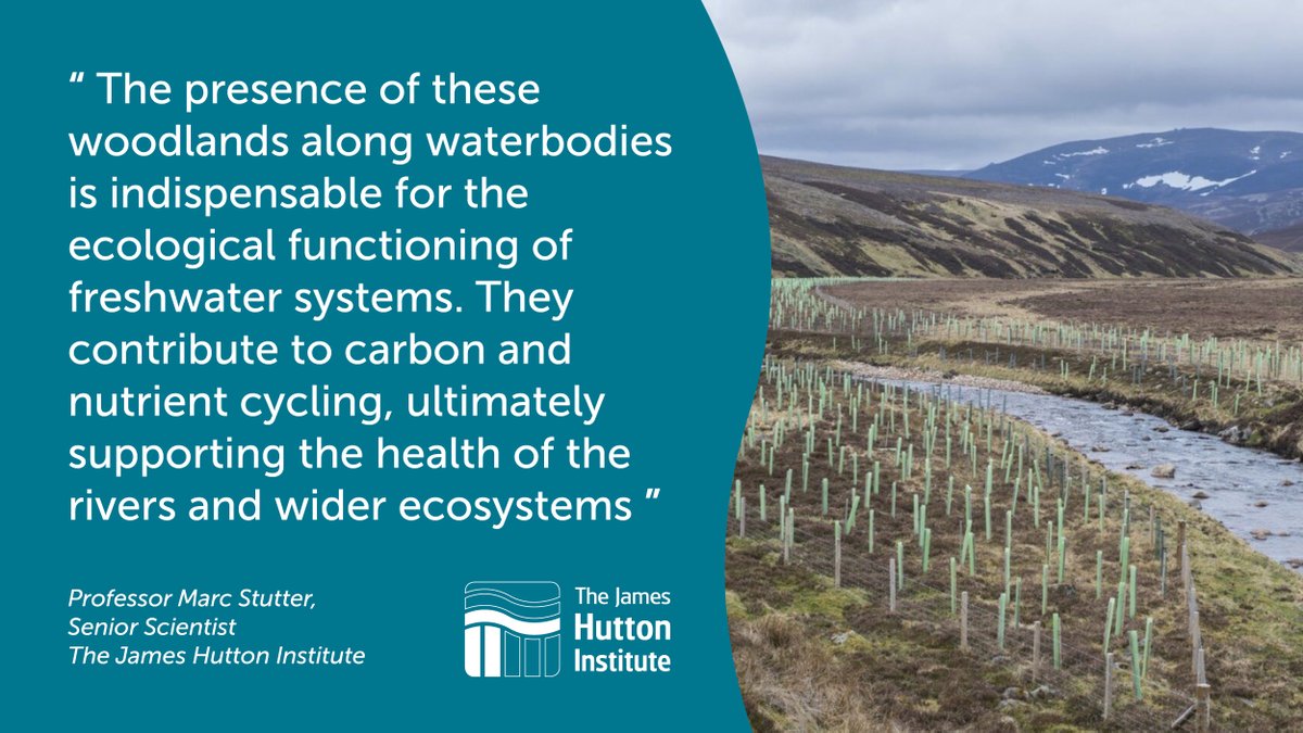 Researchers from @JamesHuttonInst (@HuttonEBS) and @aberdeenuni are leading efforts to restore river woodlands in #Scotland. 

Learn how this project is paving the way for biodiversity conservation and #climateresilience. 

#RiverRestoration 

More: bit.ly/3JGHbhF