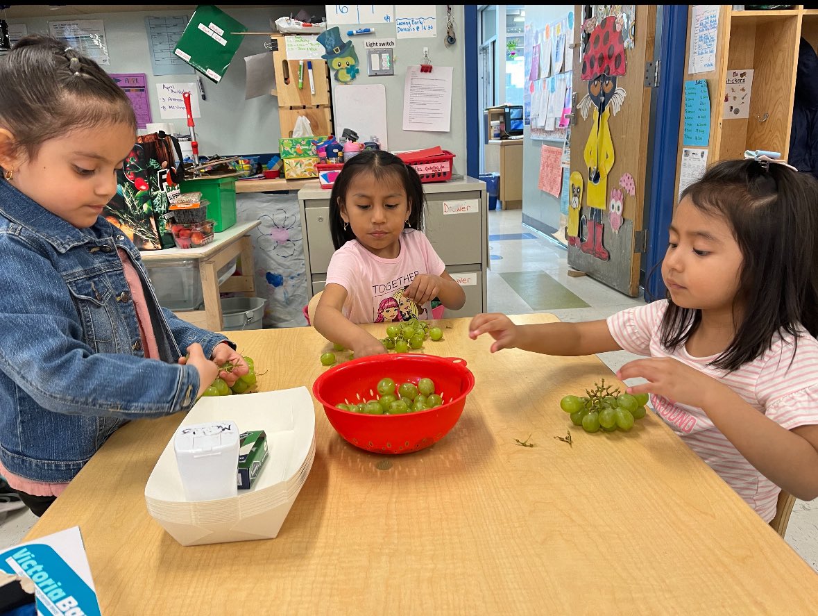 Q373 During the Week of the Young Child, students focused on the Gardening Unit. They investigated what is needed to grow plants in a garden, discussed healthy foods that grow in a garden, and made healthy snacks using fruits. @EDSSOofD24 @NYC_District24 @NYCBrightStarts