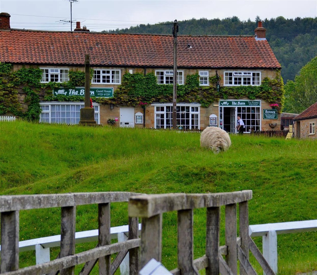 aroundaboutbrit's tweet photo. 🌿 Situated in the scenic village of Hutton-le-Hole in North Yorkshire, this delightful establishment offers a welcoming and family-friendly retreat for travellers seeking a memorable getaway.

🛏 Bed &amp; Breakfast 
https://t.co/vmQtkD89M8

#HuttonleHole #NorthYorkshire @TheBarnGH https://t.co/TaGgzVcggh
