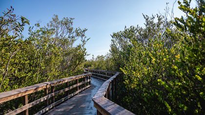 @NatlParkService @VisitUtah @CSTravelTourism @MountRainierNPS @StateWaTourism @gohawaii @Volcanoes_NPS O maior deserto subtropical dos EUA, o @EvergladesNPS, na Flórida, abriga uma variedade de espécies raras e ameaçadas de extinção, incluindo manatins, crocodilos e panteras da Flórida.