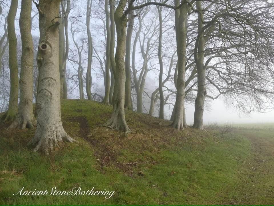 A Bronze Age barrow in the wilds of Wiltshire.
#ancientstonebothering#
#TombTuesday