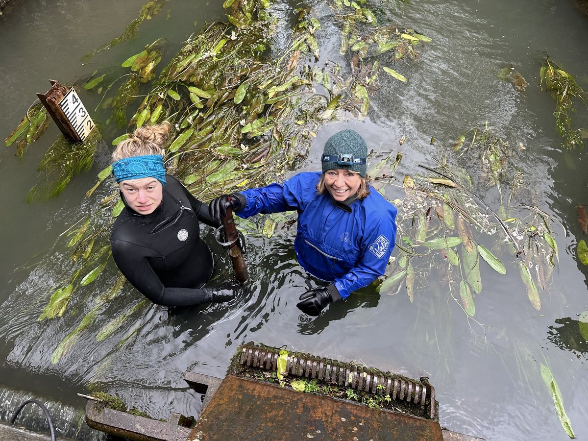 📢Webinar 15 May: An update from QUANTUM @QuantumFreshWtr - one of the 5 projects which form the UK wide Freshwater Quality Programme @FreshwaterQual1 More details: water.leeds.ac.uk/events/nerc-fr…