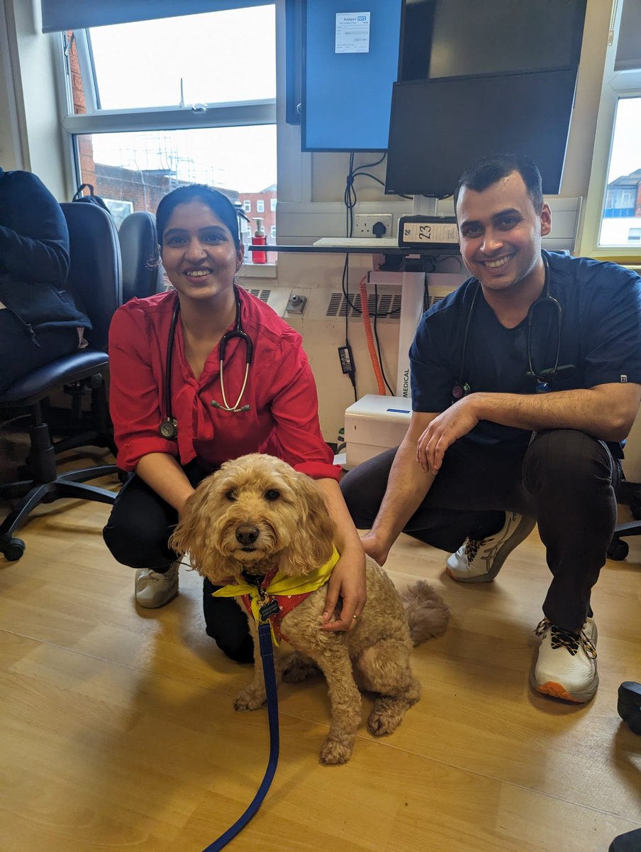 Stockport NHS FT (@stockportnhs) on Twitter photo Delightful dogs Paddy and Pippa are a real hit when they visit our wards – for staff, visitors and patients! They’re just two of the eight pet therapy dogs who regular visit to cheer up the site. 🐶🐾<a href="/petsastherapyUK/">Pets As Therapy</a> stockport.nhs.uk/news_22039 Delightful dogs Paddy and Pippa are a real hit when they visit our wards – for staff, visitors and patients! They’re just two of the eight pet therapy dogs who regular visit to cheer up the site. 🐶🐾<a href="/petsastherapyUK/">Pets As Therapy</a> stockport.nhs.uk/news_22039