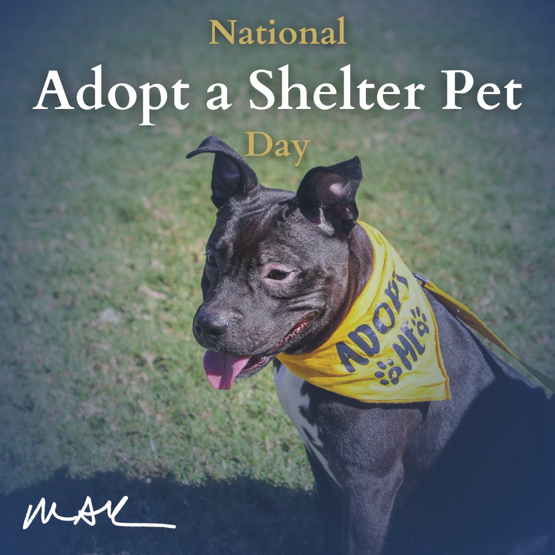 Today we honor the thousands of pets in shelters across the state who are looking for their forever families. If you’re able, please contact your local shelters for information on how to adopt today!