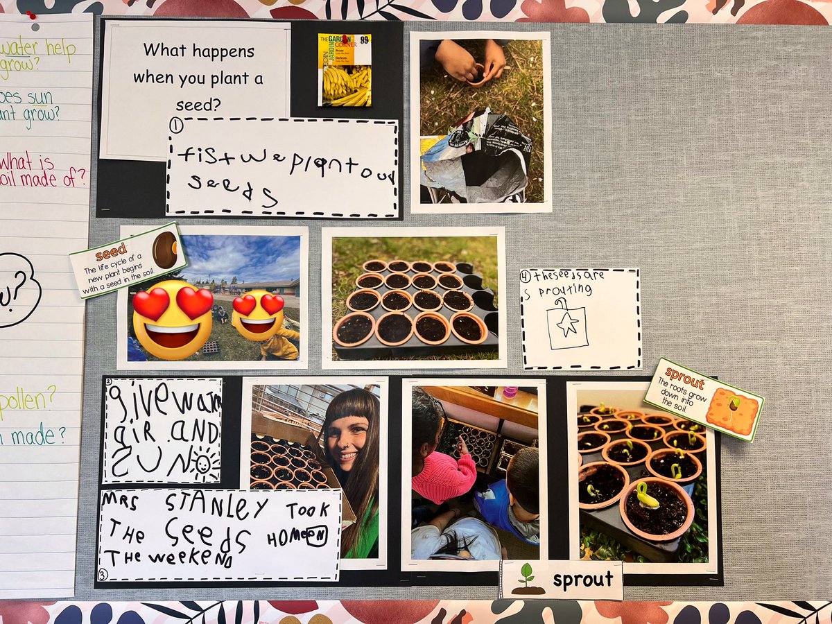 Melissa Stanley (she/her) tweet media