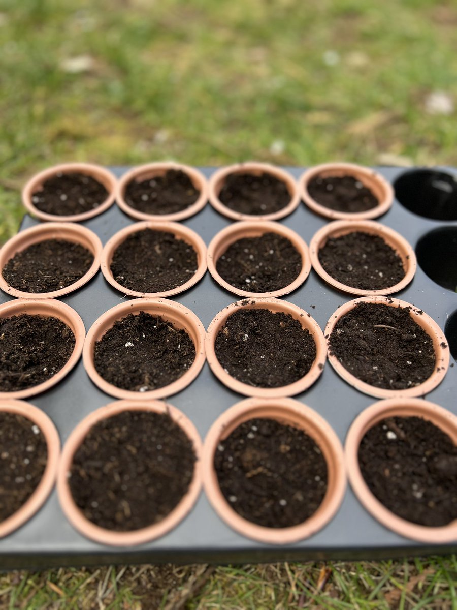 Melissa Stanley (she/her) tweet media