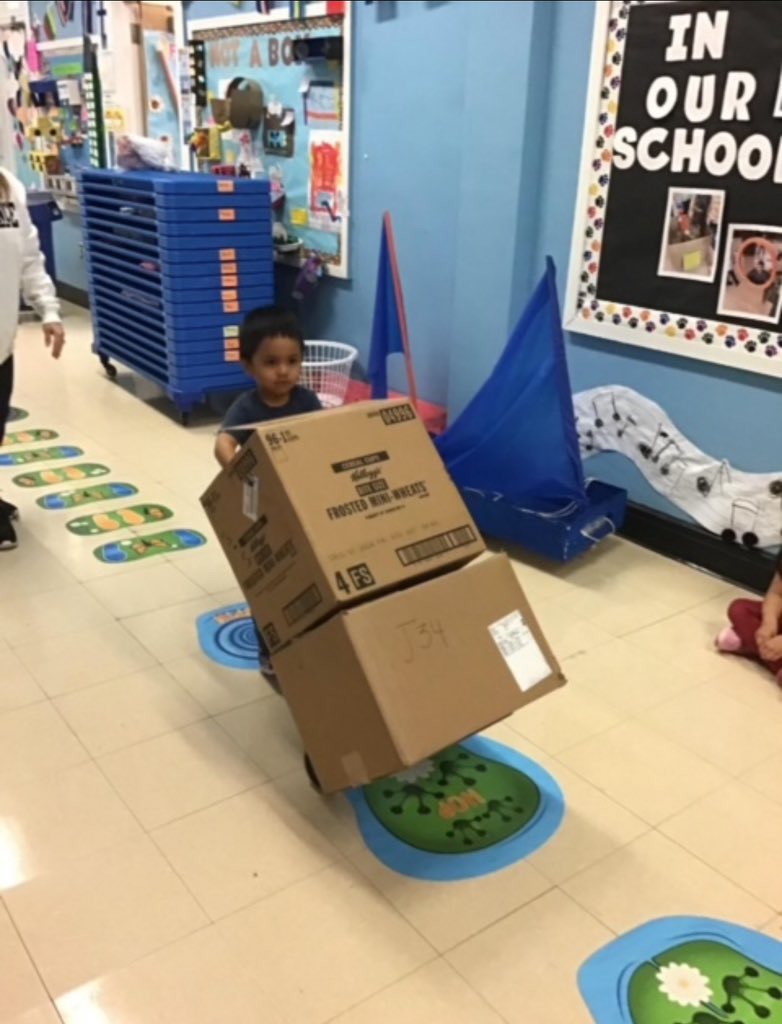 Q348 3K students are working hard moving boxes while using a hand-truck. @EDSSOofD24 @NYC_District24 @NYCBrightStarts @DOEChancellor @NYCSchools