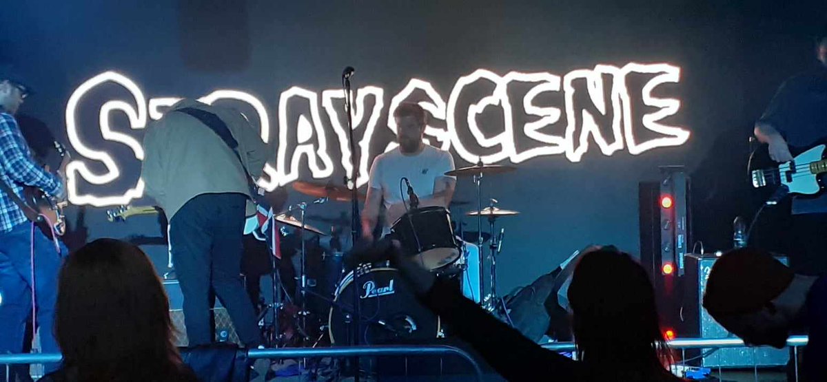 Stray Scene (@strayscene1) on Twitter photo 