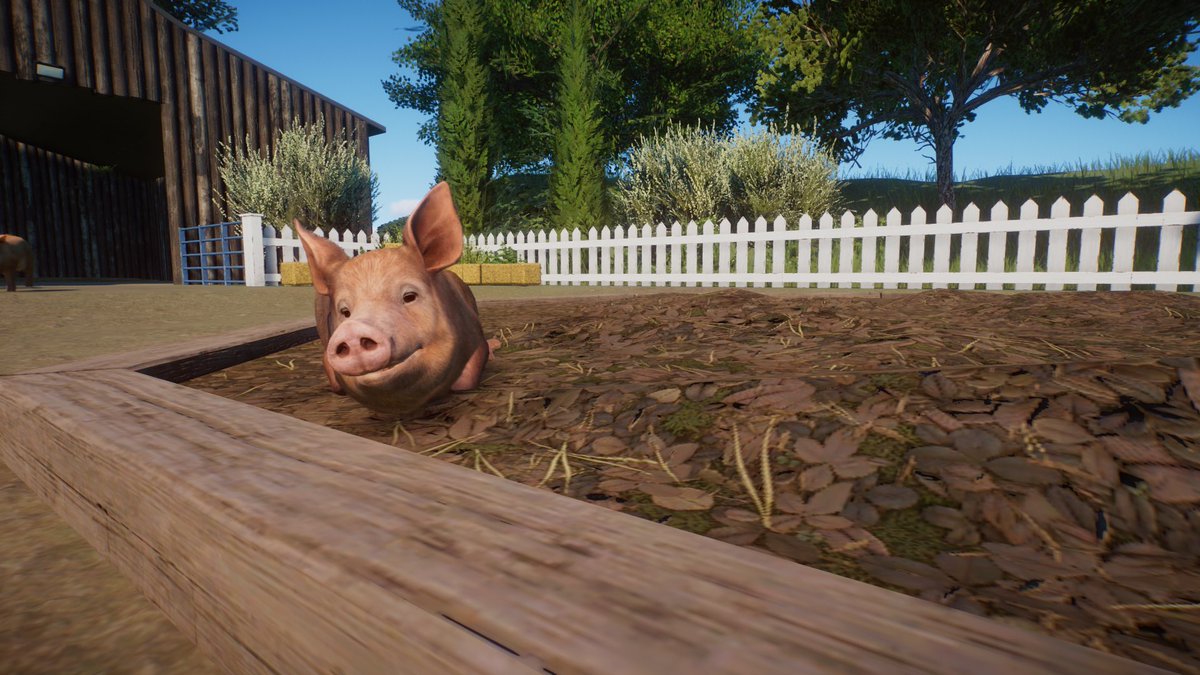 Really enjoying just watching the Tamworth Pigs 🐖 Do there thing. 

youtube.com/shorts/dSpj2oO…

🦒 - @PlanetZooGame