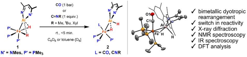 Crimmin Group (@crimmingroup) on Twitter photo New <a href="/ChemRxiv/">ChemRxiv</a> preprint from <a href="/benedekstdlr/">Benedek Stadler</a> <a href="/NGorgas/">Nikolaus Gorgas</a> and <a href="/StuartJElliott1/">Stuart J. Elliott</a> is now out. The work focuses on discovery and understanding of a dyotropic rearrangement of ligands in Fe–Al heterometallic complex. Here's a link: chemrxiv.org/engage/chemrxi… New <a href="/ChemRxiv/">ChemRxiv</a> preprint from <a href="/benedekstdlr/">Benedek Stadler</a> <a href="/NGorgas/">Nikolaus Gorgas</a> and <a href="/StuartJElliott1/">Stuart J. Elliott</a> is now out. The work focuses on discovery and understanding of a dyotropic rearrangement of ligands in Fe–Al heterometallic complex. Here's a link: chemrxiv.org/engage/chemrxi…