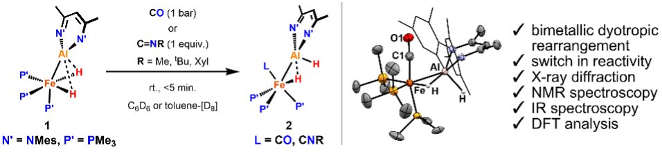 New @ChemRxiv preprint from @benedekstdlr @NGorgas and @StuartJElliott1 is now out. The work focuses on discovery and understanding of a dyotropic rearrangement of ligands in Fe–Al heterometallic complex. Here's a link: chemrxiv.org/engage/chemrxi…