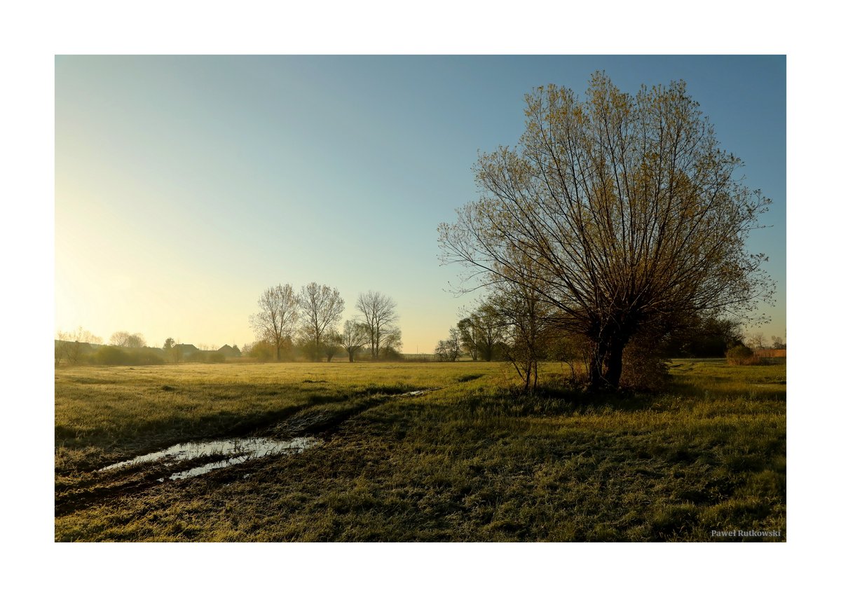 Kierunek: Ponidzie (Zdjęcie zeszłoroczne. Tegoroczne, mam nadzieję, grzecznie czekają na miejscu ;-) #Ponidzie #ThePhotoHour