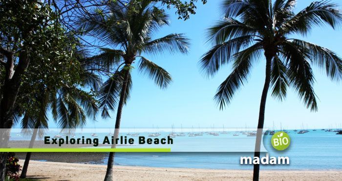 Here are some exciting things to do in Airlie Beach! 🌴 Whether you're looking for adventure or relaxation, Airlie Beach has it all. Don't miss out on exploring the stunning Whitsunday Islands. biomadam.com/to-do-airlie-b… #AirlieBeach #GreatBarrierReef #WhitsundayIslands