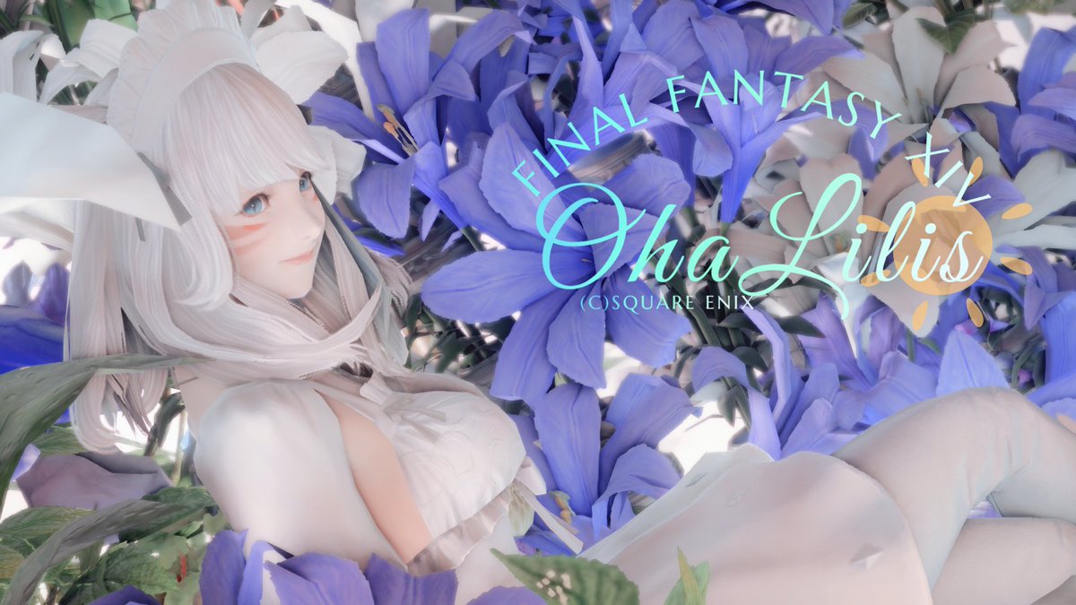 ⿻ ɢᴏᴏᴅ ᴍᴏʀɴɪɴɢ ꕤ◌𓈒𓐍

ꕤ #おはミコ ꕤ #メスッテ
ꕤ #GPOSERS ꕤ #LiliPhotoSs
ꕤ #FF14フレンド募集