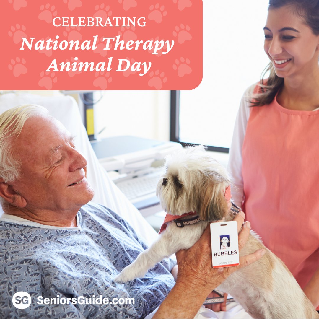 🐾 Happy #NationalTherapyAnimalDay! At Seniors Guide, we recognize the incredible impact therapy animals have on the well-being of seniors. From offering comfort to bringing smiles, these furry friends make every day a bit brighter.
