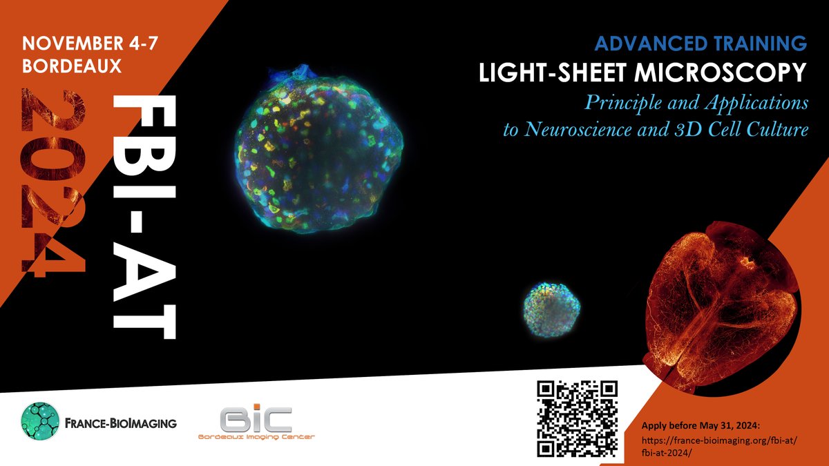📢Eager to learn more about Light-Sheet Microscopy? Don't miss the FBI-AT 2024 on “Light-Sheet Microscopy: Principle and Aplications to Neuroscience and 3D Cell Culture”!🔬
📍Bordeaux @BIC_Bordeaux 
🗓️Nov. 4- Nov. 7, 2024 
📥Apply now! france-bioimaging.org/fbi-at/fbi-at-…