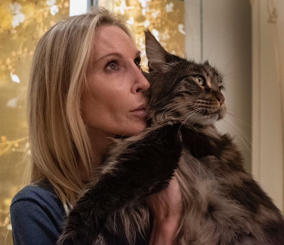 RIP Teddy Cleese who died last week. A gentle, affectionate, playful, perfect Maine Coon. Here he is with his mother Fish Cleese (who is still alive).