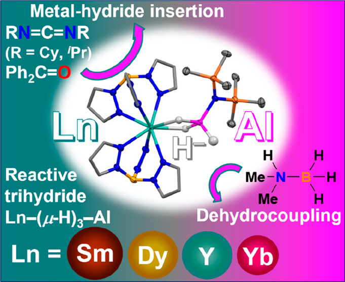 Lanthanide-aluminium heterobimetallic trihydrides the easy way. Reactivity and catalytic studies benchmark these complexes as bimetallic hydrides. From <a href="/Weetman_Group/">Weetman_Group</a> <a href="/StrathChem/">Chemistry - University of Strathclyde</a> <a href="/tajchem98/">Tajrian Chowdhury</a> <a href="/UofGChem/">School of Chemistry, University of Glasgow</a>, in our Special Issue on ligands for Ln and Ac metals pubs.acs.org/doi/10.1021/ac…