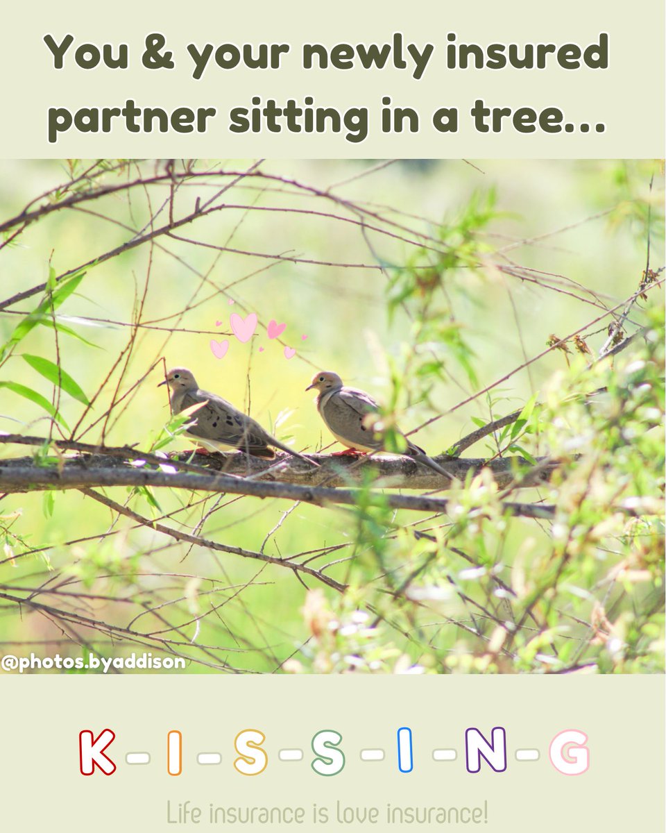 These two birds made me think of this song 😂🌳🎶 Protect yourself, your loved ones, and your belongings all with Team Chear!✨🤩 Call or text 949-553-1115📱 

#goodneighbor#insuranceagent#statefarm#costamesa#jakefromstatefarm#lgbtqfriendly#womenleader#artmatters