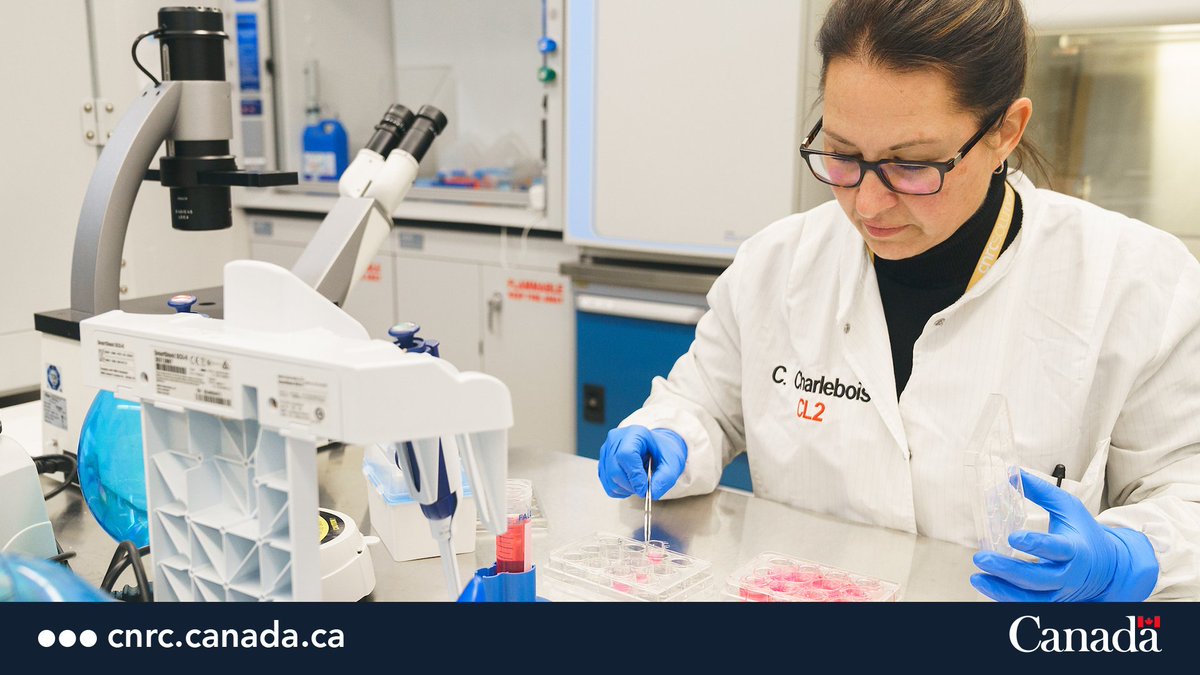 C’est la #SemaineMondialeDeLaVaccination! #SantéCNRC aide à concevoir, tester et accroître des procédés de #biofabrication afin que des vaccins et autres produits bio. sûrs et efficaces puissent passer de la recherche aux essais cliniques au Canada  

ow.ly/wcuT50RsmOO