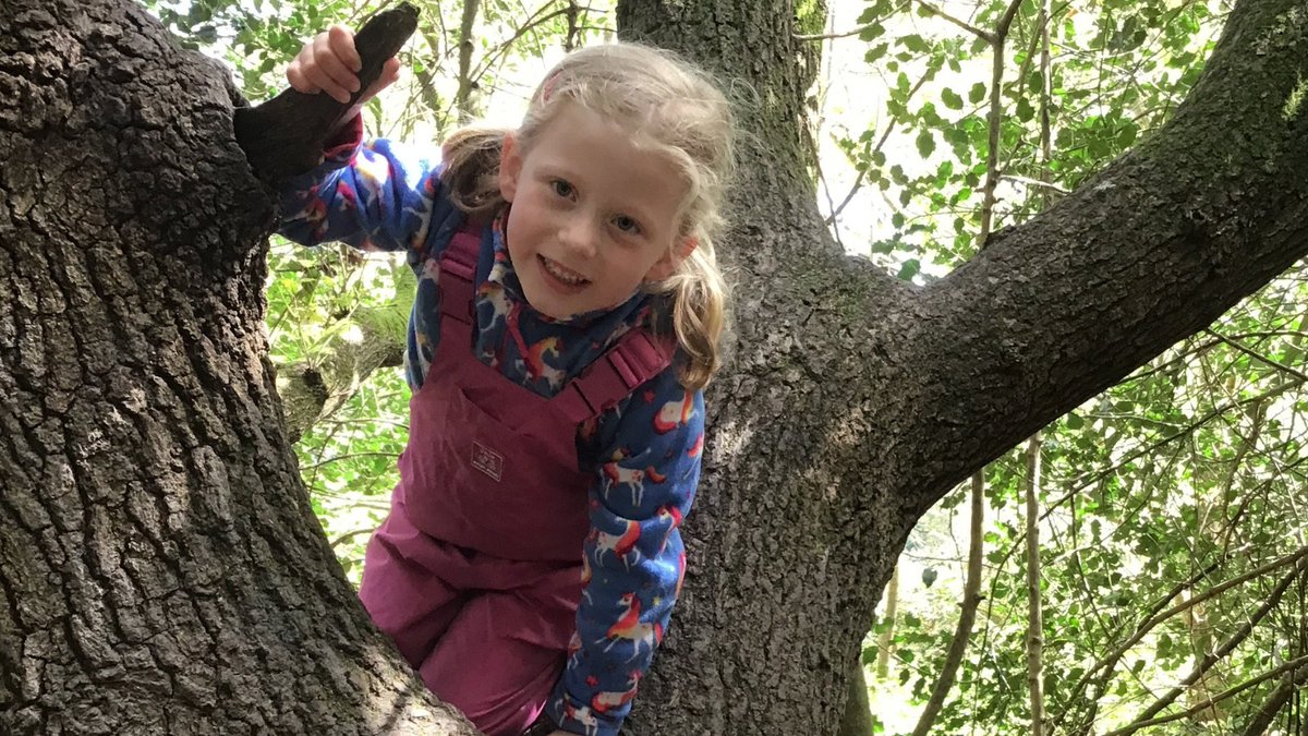 Our Nursery children have been having fun in their weekly Forest School sessions so far this term. It's always a highlight of the week #newlandhouse #forestschool #EYFS