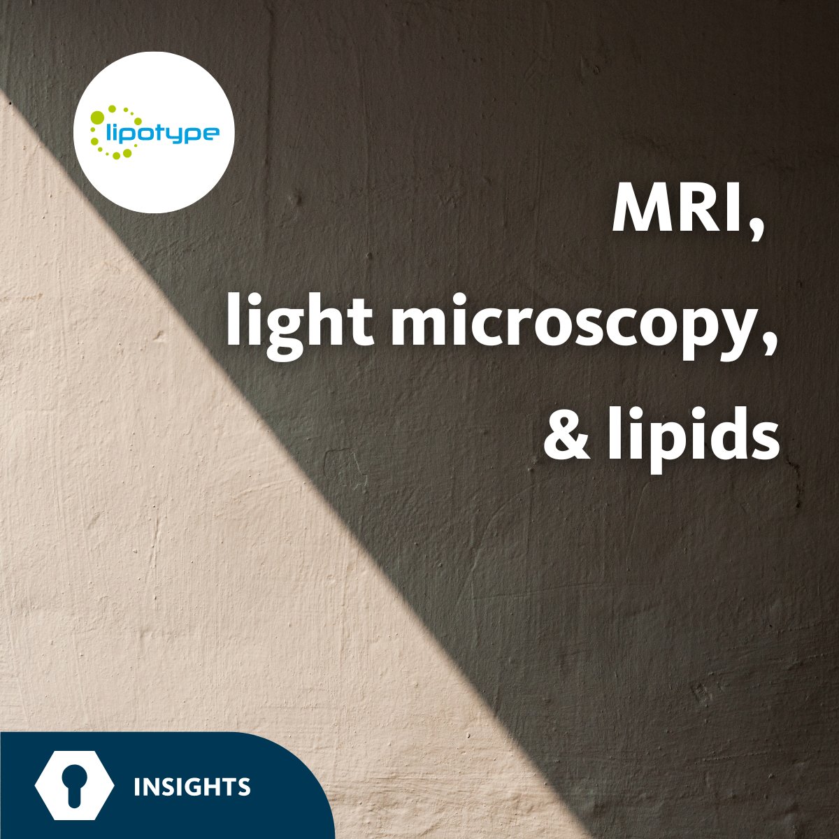 This study investigates how removing #lipids affects #MRI contrast in optically-cleared samples. Read the full publication here: lipotype.com/lipidomics-res… #research #lipid #lipidomics #LipidMetabolism #lipotype #lipidome #MassSpectrometry #LightImaging