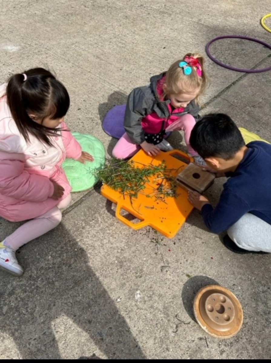 Q348 Students collected many nature materials while outside and created “a garden”. They were so excited to find leaves, stems, rocks, seeds and dirt. @EDSSOofD24 @NYC_District24 @NYCBrightStarts @DOEChancellor @NYCSchools