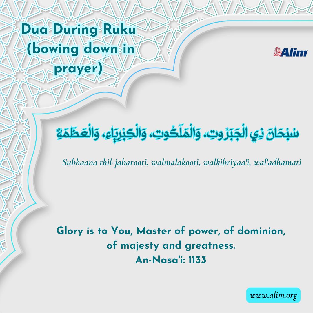 Dua During Ruku (bowing down in prayer)
سُبْحَانَ ذِي الْجَبَرُوتِ، وَالْمَلَكُوتِ، وَالْكِبْرِيَاءِ، وَالْعَظَمَةِ

alim.org/.../during-ruk…
#dua #islamicduas #powerofprayer #faithinallah #iman #prayersforall #mercyofallah #SeekingForgiveness #prayersforummah #dailydua