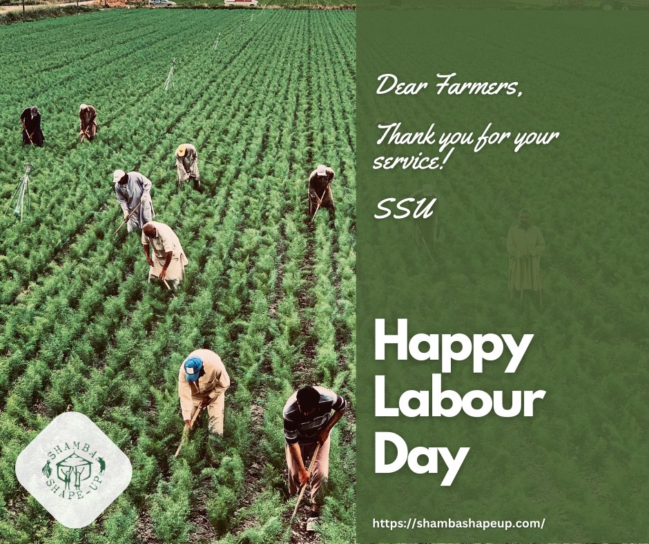 Happy Labour Day 👨‍🌾