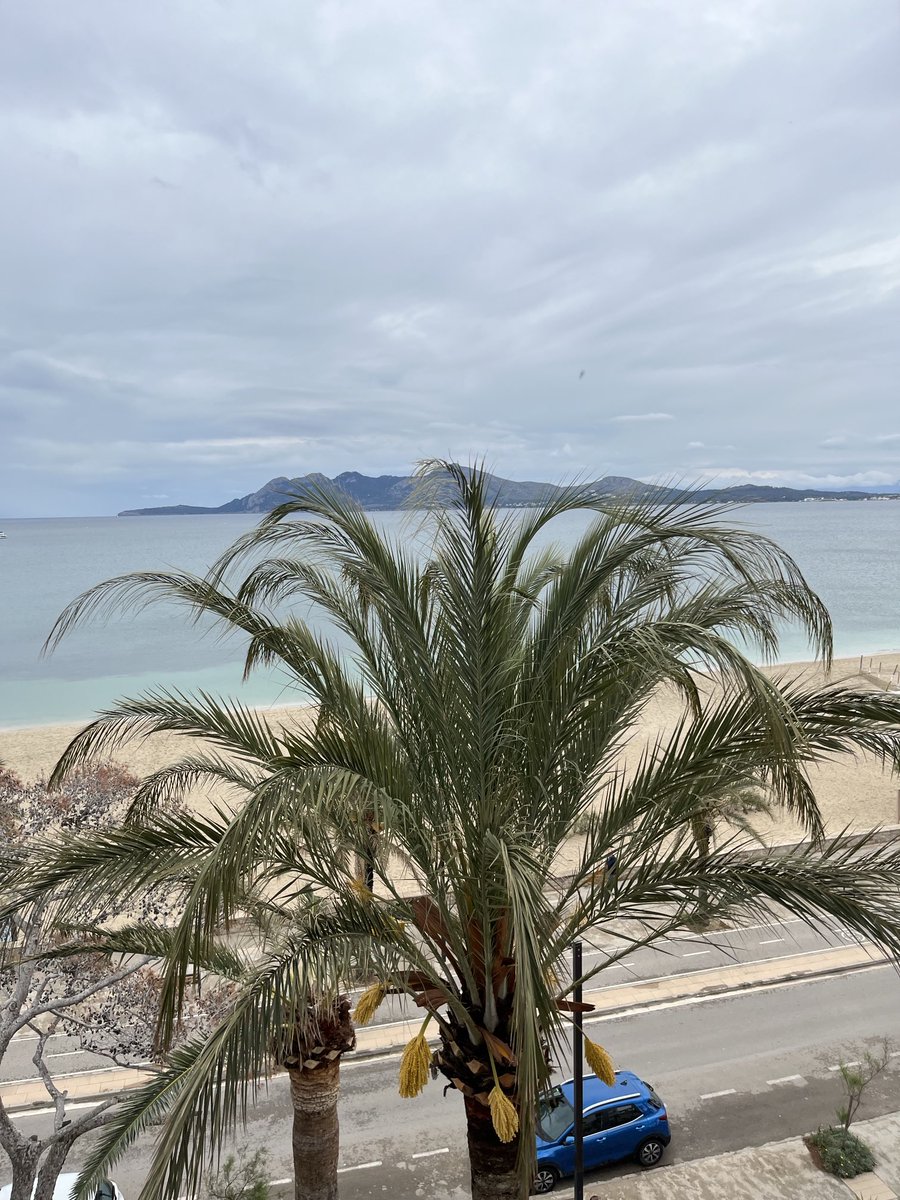 No #sun 
⁦<a href="/ThePhotoHour/">#ThePhotoHour</a>⁩ ⁦<a href="/StormHour/">#StormHour</a>⁩