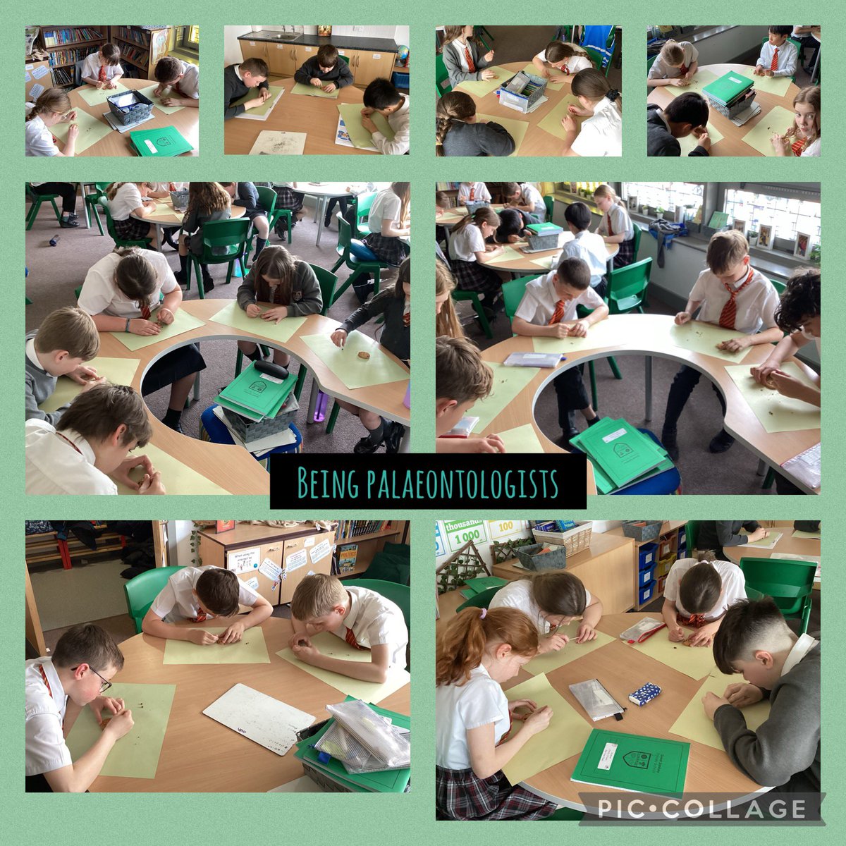 We’re having a go at being palaeontologists this afternoon. It really isn’t easy chipping away really carefully so as not to damage the fossil/biscuit!
#greatsankeyscience
