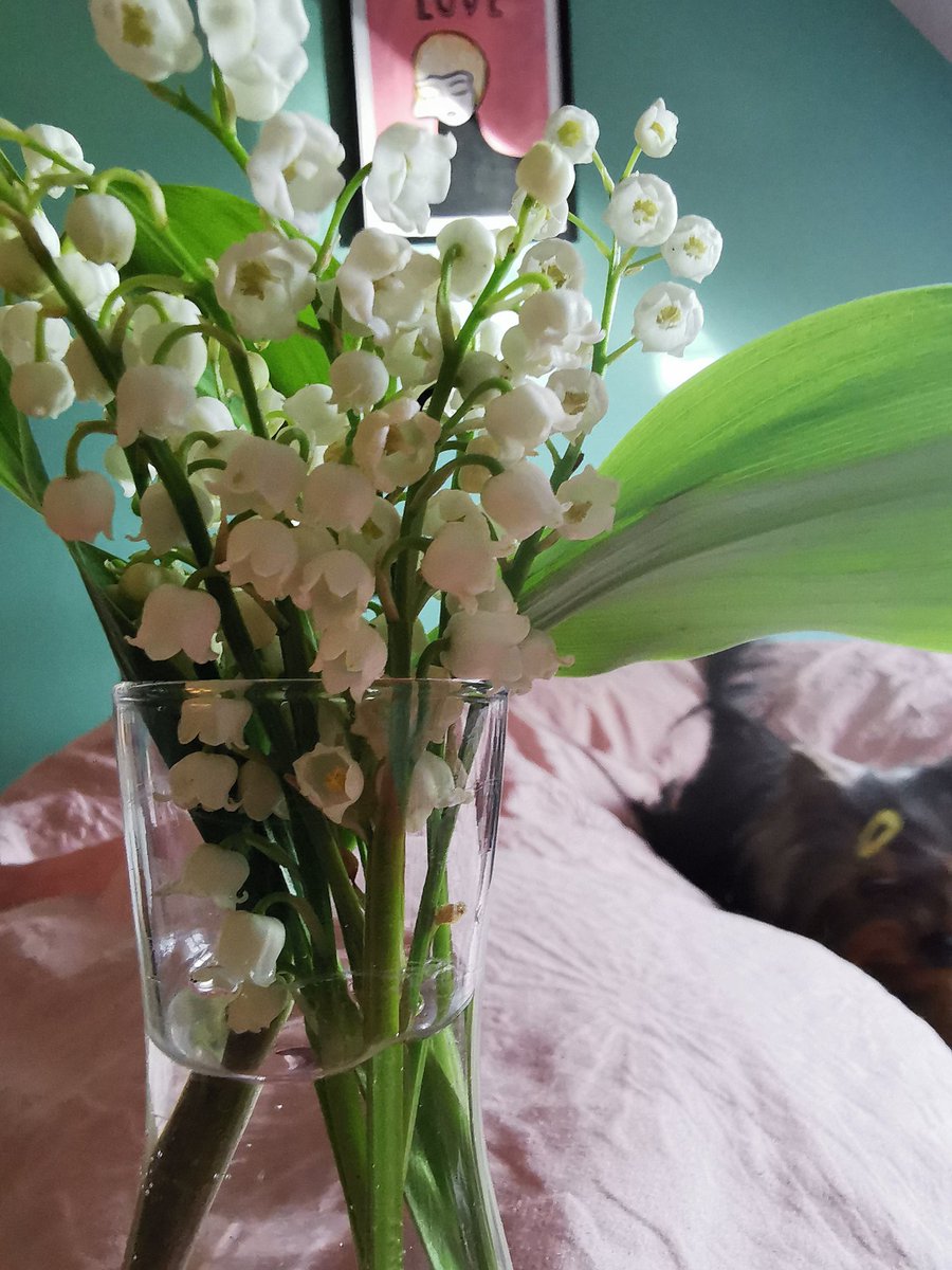When we go to Gma's, she picks us a possy of flowers to go by the big bed. This month, it's lily of the valley🩷