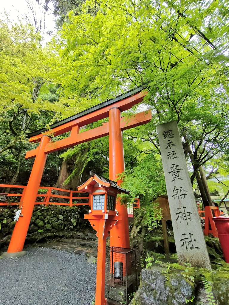 貴船神社へ✨
 #貴船神社  #新緑  #青もみじ