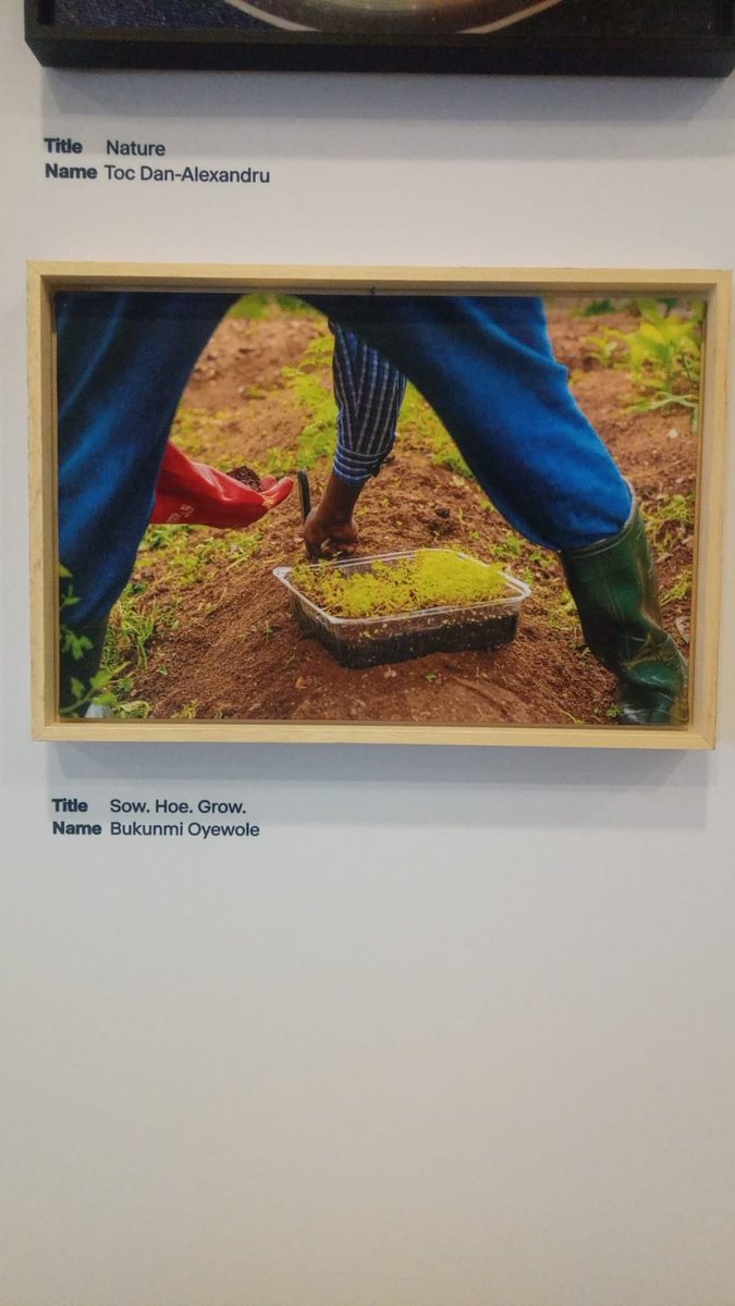 Legendary Photographer tweet media