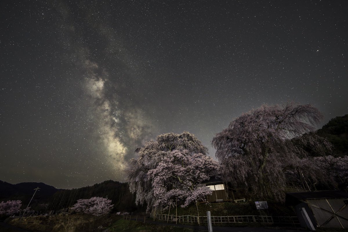 しだれ桜🌸と天の川🌌が綺麗でした🤩
一枚撮りです🥺
#しだれ桜
#天の川
#東京カメラ部 
#桜