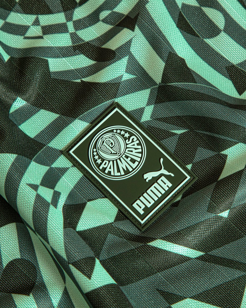 A #FamíliaPalmeiras pronta pra andar na estica! 🕴️

A nova coleção do #MaiorCampeãoDoBrasil, inspirada nos anos 90, já está disponível na Palmeiras Store! 🛒 ➤ bit.ly/3UCUMNf

@pumabrasil 
#AvantiPalestra