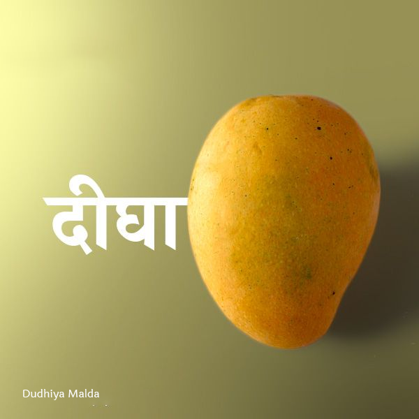 Mango is the king of fruits, but do you know who reigns as the king of mangoes?