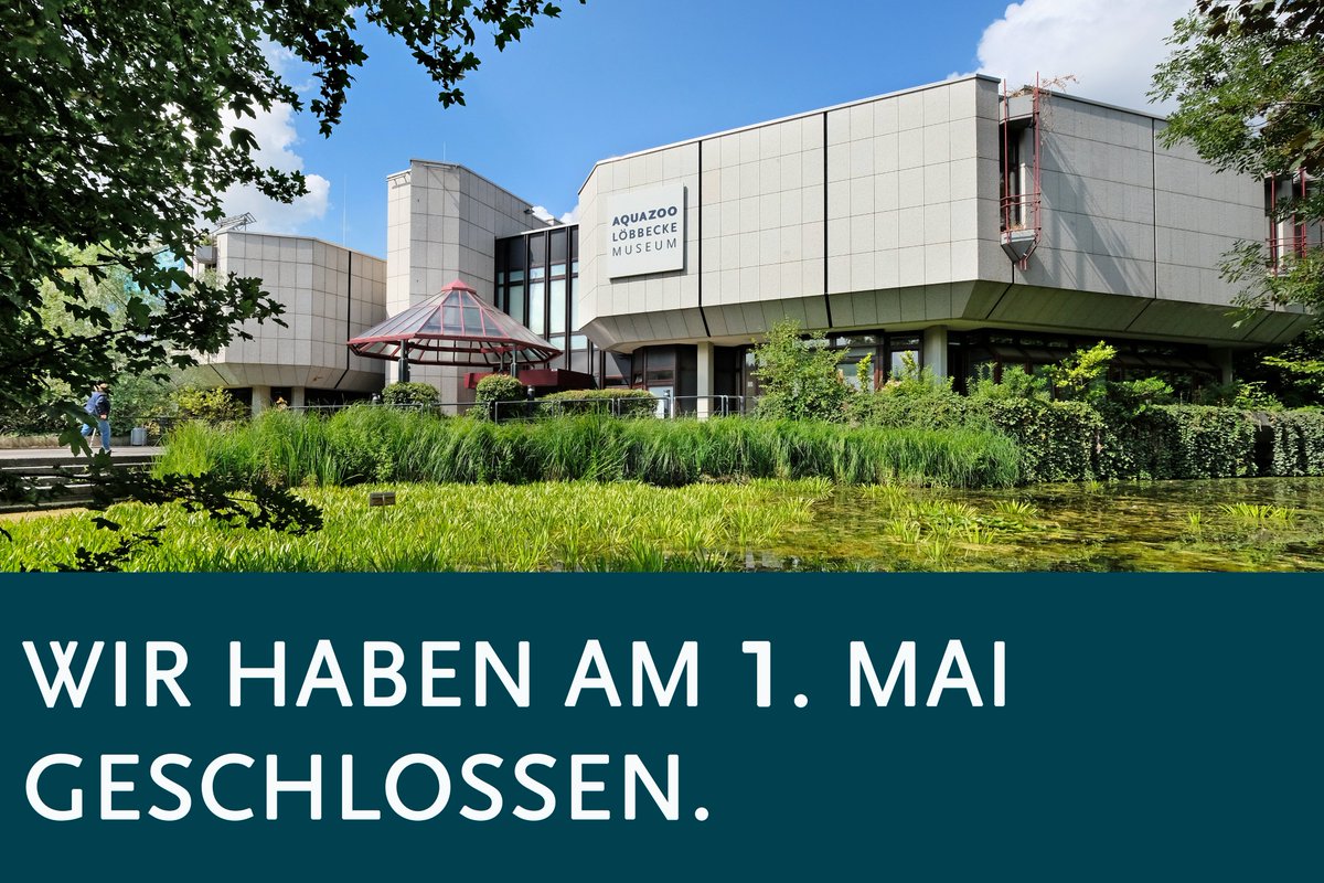Am  1. Mai bleibt unsere Ausstellung für den regulären Besuch geschlossen.  Wir öffnen lediglich für geladene Patinnen und Paten zum 15. Patentag  2024. 

Wer sich für die Patenschaften im Aquazoo interessiert, findet alle Informationen hier: 
duesseldorf.de/aquazoo/patens…