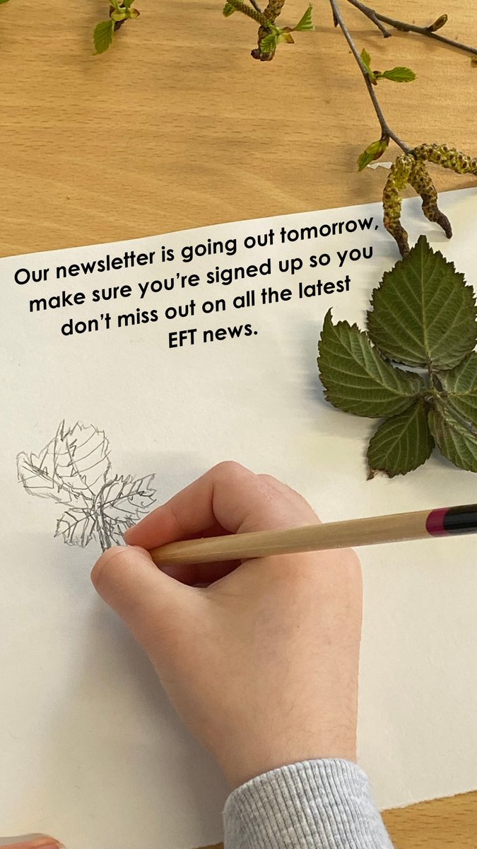 Our newsletter is going out tomorrow 📨 Make sure you're signed up so you can receive the latest EFT news and courses in your inbox. Sign up here - forms.wix.com/f/717291144114…