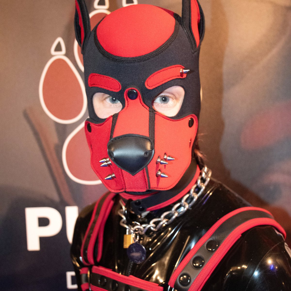 Pup Rebel tweet media