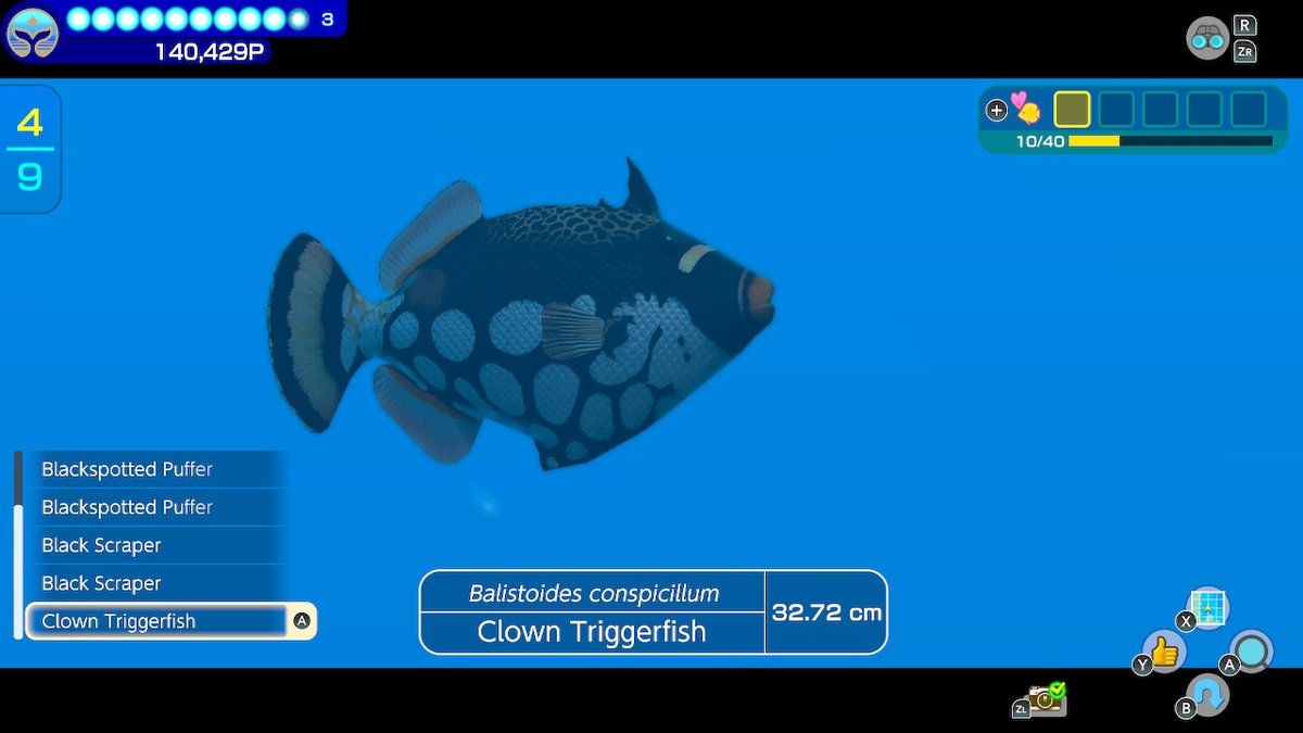 One positive about Endless Ocean Luminous is that it does include the Official Fish of Twitter™