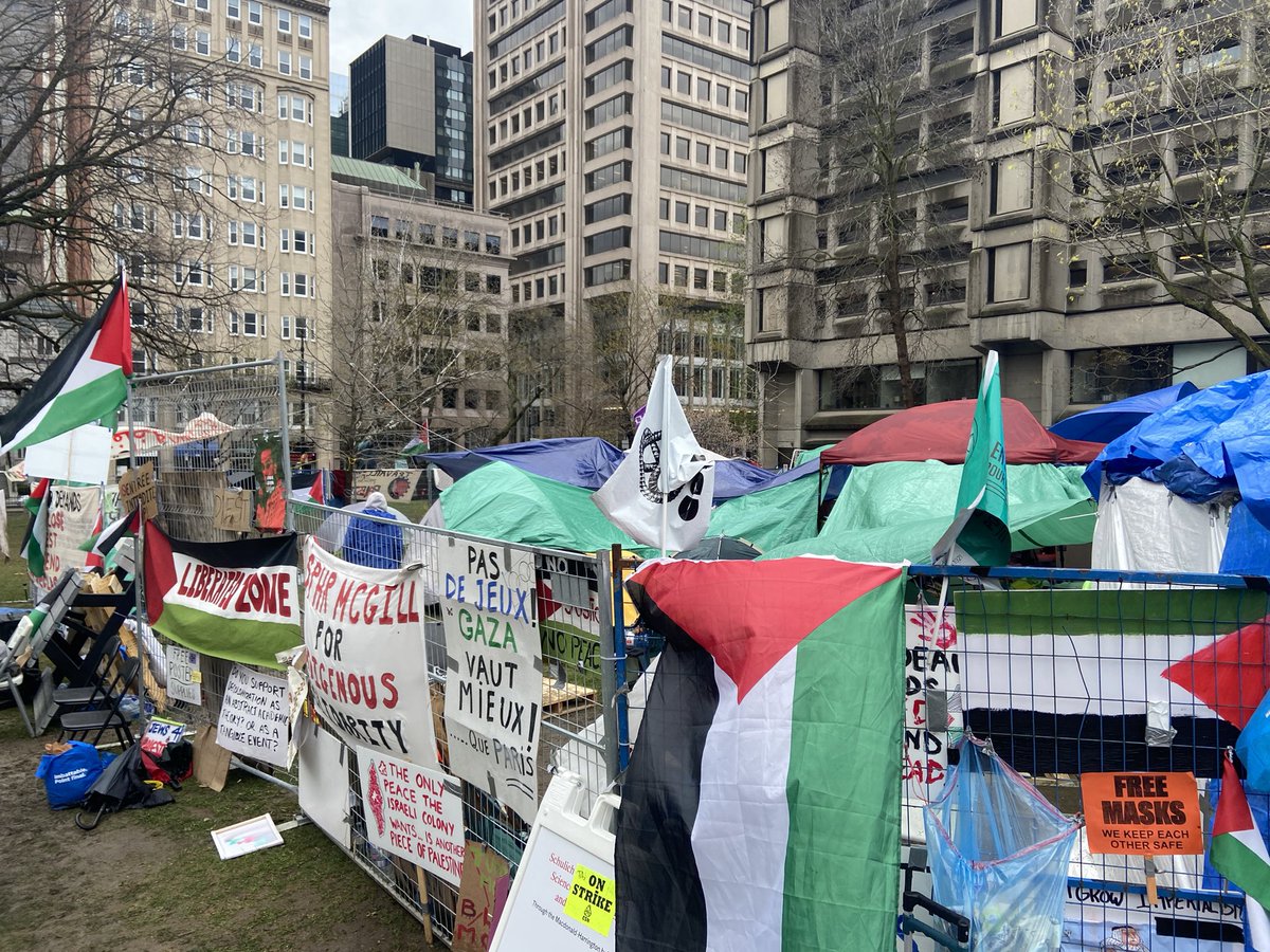 Jesse Feith tweet media