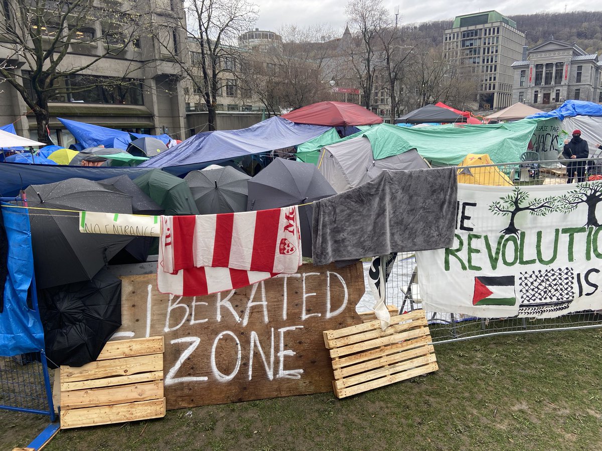 Jesse Feith tweet media