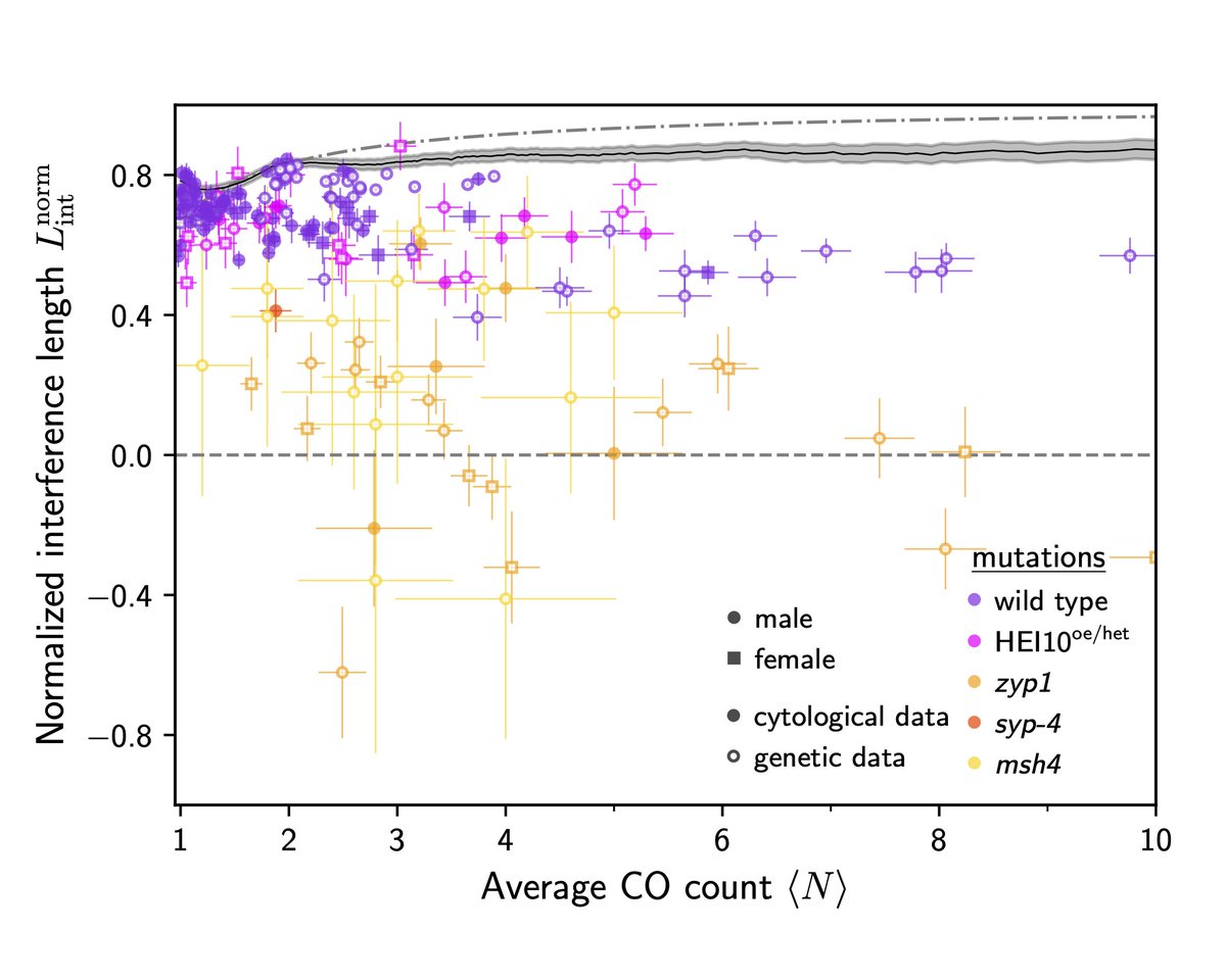 Normalizing Lint with the chromosome length L and the average crossover count N predicts a surprisingly similar behavior across various organisms and mutants. We think this hints at common mechanism that governs crossover interference in these cases.