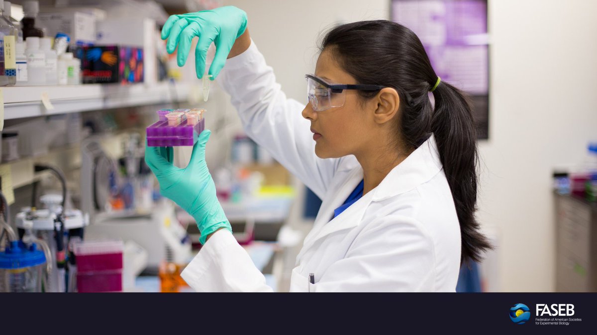 .@NIH increases stipends and childcare subsidies for predoctoral and postdoctoral scholars supported by NRSAs to attract and retain talent. Read more in the Washington Update: hubs.ly/Q02vmR9x0