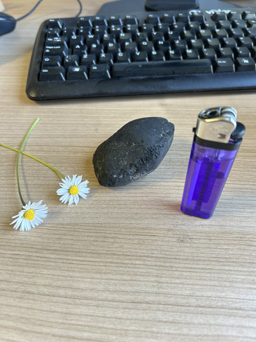 It’s the time of the teaching year again when I set fire to a daisy and a lump of coal in front of 150 students to illustrate the historical consequences of the shift to fossil fuels without, I hope, setting the fire alarm off.