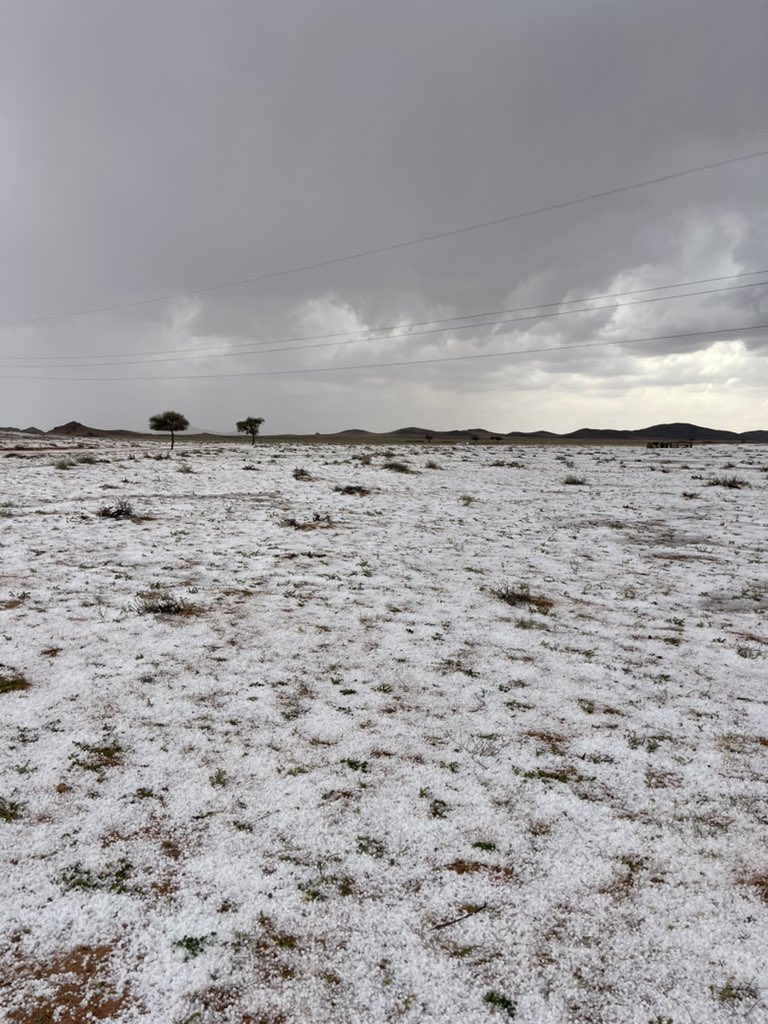 مخاوي الشيبان tweet media