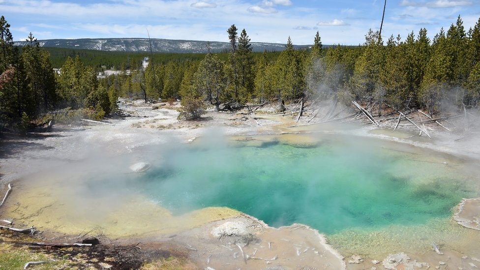 In 2016, an Oregon man essentially dissolved inside a hot spring at Yellowstone National Park in Wyoming after he accidentally fell into it.